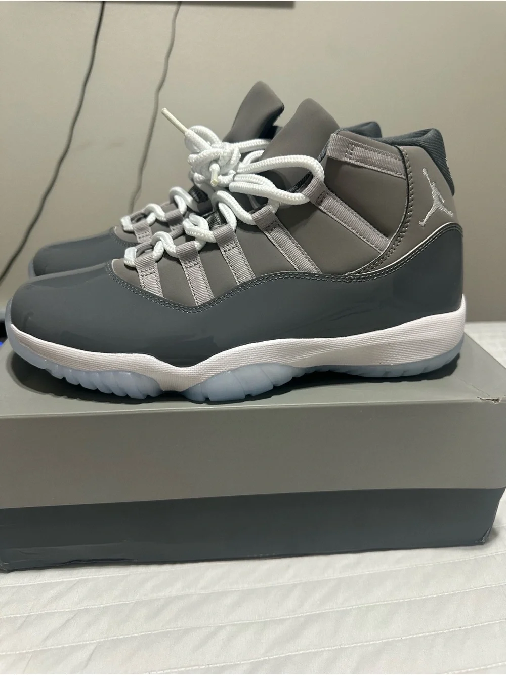 Jordan 11 Cool Greys